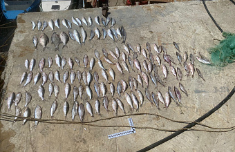 До трех лет грозит жителю Дагестана за незаконную рыбную ловлю