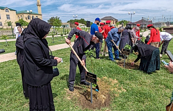 В «Саду памяти» Кумторкалинского района посадили новые деревья