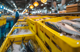 Дагестанская компания за 120 млн рублей запустит завод по глубокой переработке рыбы