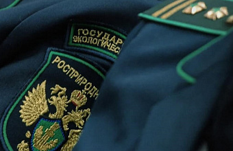 Росприроднадзор взыскивает с компании по сбору мусора в Дагестане 137 млн рублей