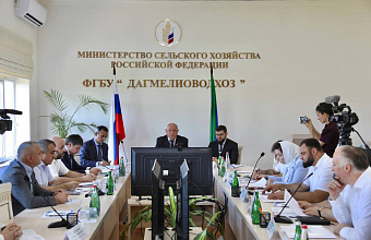 Аграрии Дагестана планируют ввести в оборот более 4,5 тыс. га мелиорированных земель в 2025 году