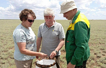 Приграничные земли Дагестана и Ставрополья проверили на наличие саранчи