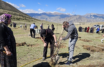 В Ботлихском районе в рамках всероссийского субботника заложен «Сад памяти»