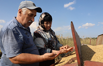 В Кизлярском районе завершается сев риса