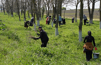 В Казбековском районе поддержали масштабный Всероссийский субботник