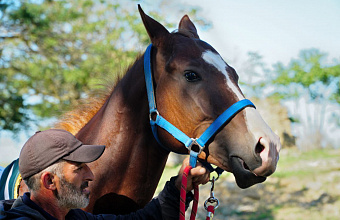 В Дагестане выбрали победителей скачек, посвященных 80-летию Великой Победы