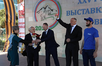 В Каспийске прошел заключительный день российской выставки овец и коз