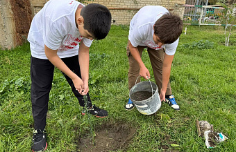 Волонтерский корпус Кизляра провел экологическую акцию «Посади дерево»