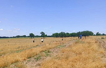 В Ногайском лесничестве провели агроуход за лесными насаждениями