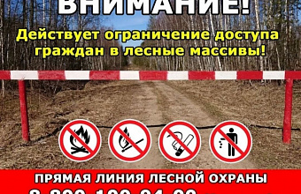 В Дагестане ввели ограничения на посещение лесов из-за пожарной опасности