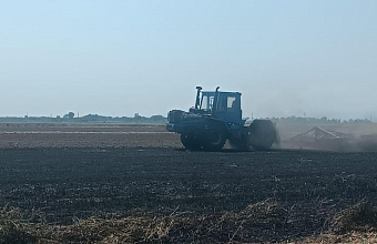 На полях Хасавюртовского района идет комплекс полевых работ