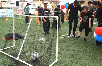 Спортивный фестиваль для особенных детей провели в Дербенте