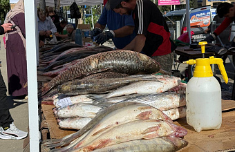 В Махачкале стартовал четырехдневный гастрономический фестиваль «Каспийская рыба»