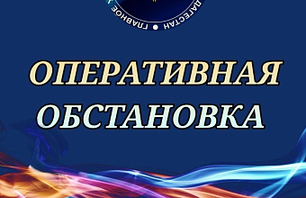 Огнеборцы потушили девять пожаров за сутки в Дагестане