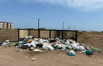В трех районах Дагестана экологи выявили несанкционированные свалки