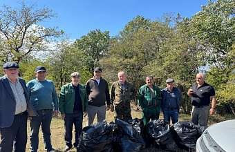 В Дагестане почти 3 га лесов очистили от бытового мусора