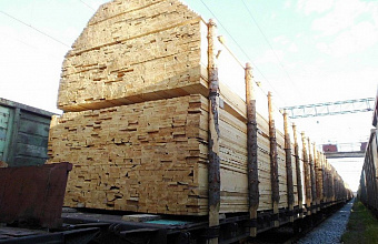 Россельхознадзор выявил нарушения при ввозе леса в Дагестан