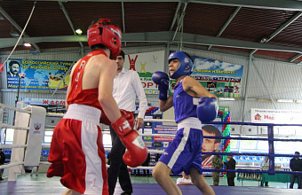 Турнир по боксу на призы спортсмена Нурмагомеда Шанавазова прошел в Избербаше