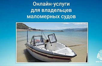 Судовладельцы могут получить государственные услуги в электронном виде – МЧС