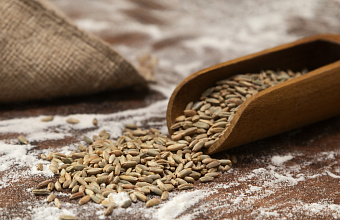 270 предостережений выдали участникам зернового рынка в Дагестане