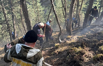 В Левашинском районе локализован ландшафтный пожар