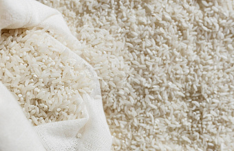 Рисоводы Дагестана бьют тревогу из-за низких цен на рис