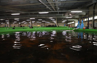 Рыбный комплекс в Дагестане с момента запуска производства выпустил 5 тонн черной икры