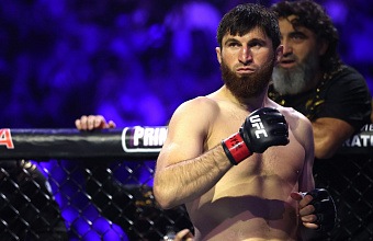 Анкалаев техническим нокаутом проиграл Перейре