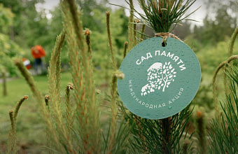 Дагестан вошел в топ-10 самых активных регионов акции «Сад памяти»