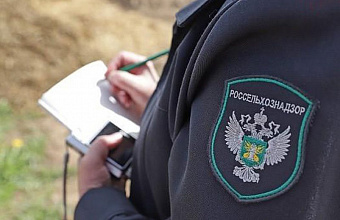 Россельхознадзор добивается устранения свалки в Левашинском районе