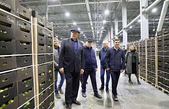 Суперсовременное плодохранилище на 12,5 тыс.тонн успешно работает в Сулейман-Стальском районе