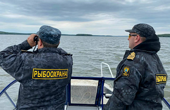 Браконьерские сети извлечены из акватории реки Сулака и Чиркейского водохранилища