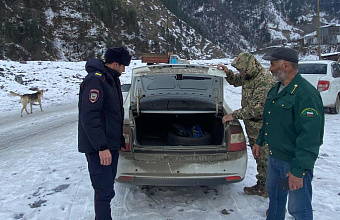 В Дагестане за 2024 год нанесенный ущерб лесному хозяйству превысил 23 млн рублей