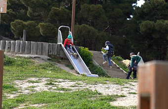 В Дербенте начался второй этап благоустройства «Соснового бора»