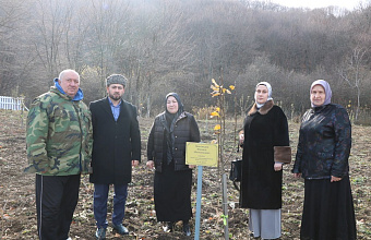 В Казбековском районе продолжаются работы по благоустройству «Сада памяти»