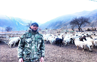 Как развивается сельское хозяйство в горах Дагестана