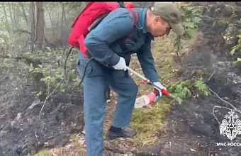 Четыре очага природных пожаров действуют на территории Дагестана