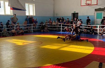 Турнир по вольной борьбе памяти погибших участников СВО прошел в Ахвахском районе