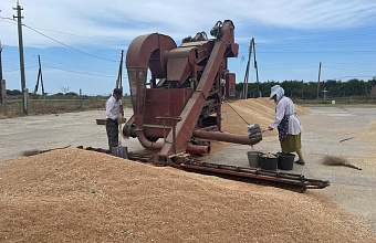 В Курахском районе началась уборка озимых зерновых культур