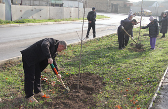 В Избербаше прошла акция по посадке деревьев
