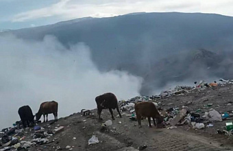 Администрация Ботлихского района провела засыпку мусорной свалки