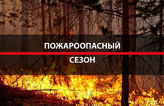 В лесничествах Дагестана с 1 апреля объявляется пожароопасный сезон