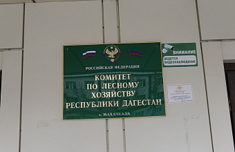 В Дагестане гражданам временно ограничили доступ в лесные массивы из-за высокой пожароопасности
