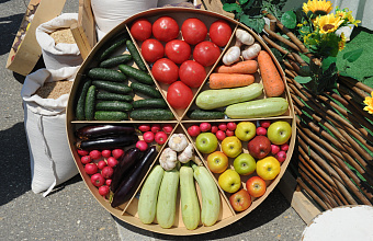 Карабудахкентский район в 2024 году довел объемы сельхозпроизводства до 7,7 млрд рублей