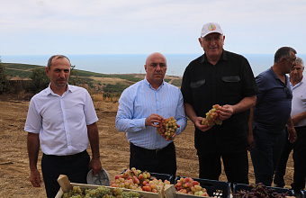 Абдулмуслим Абдулмуслимов проверил ход уборочной кампании в Южном Дагестане