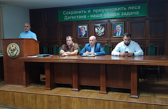 В Дагестане количество лесных пожаров в 2025 году выросло – Даглесхоз
