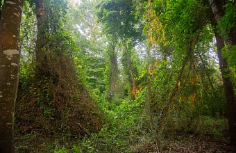 На черном пляже возле Самурского леса расширено покрытие LTE