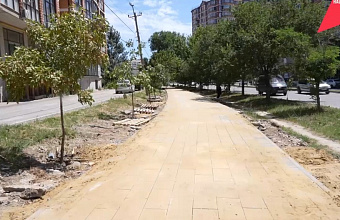 На одной из улиц Махачкалы в рамках нацпроекта начались работы по созданию новой зеленой зоны