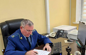 Прокуратура проводит проверку по факту нападения домашней собаки на ребенка