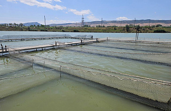 В Дагестане к 2028 году запустят хозяйство по выращиванию форели